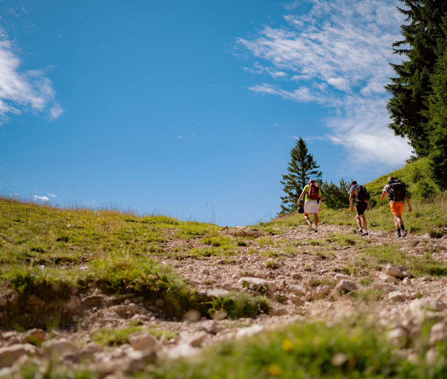 Three hikers wearing backpacks walk up a rocky trail on a grassy hillside under a bright blue sky with scattered clouds and evergreen trees in the distance.