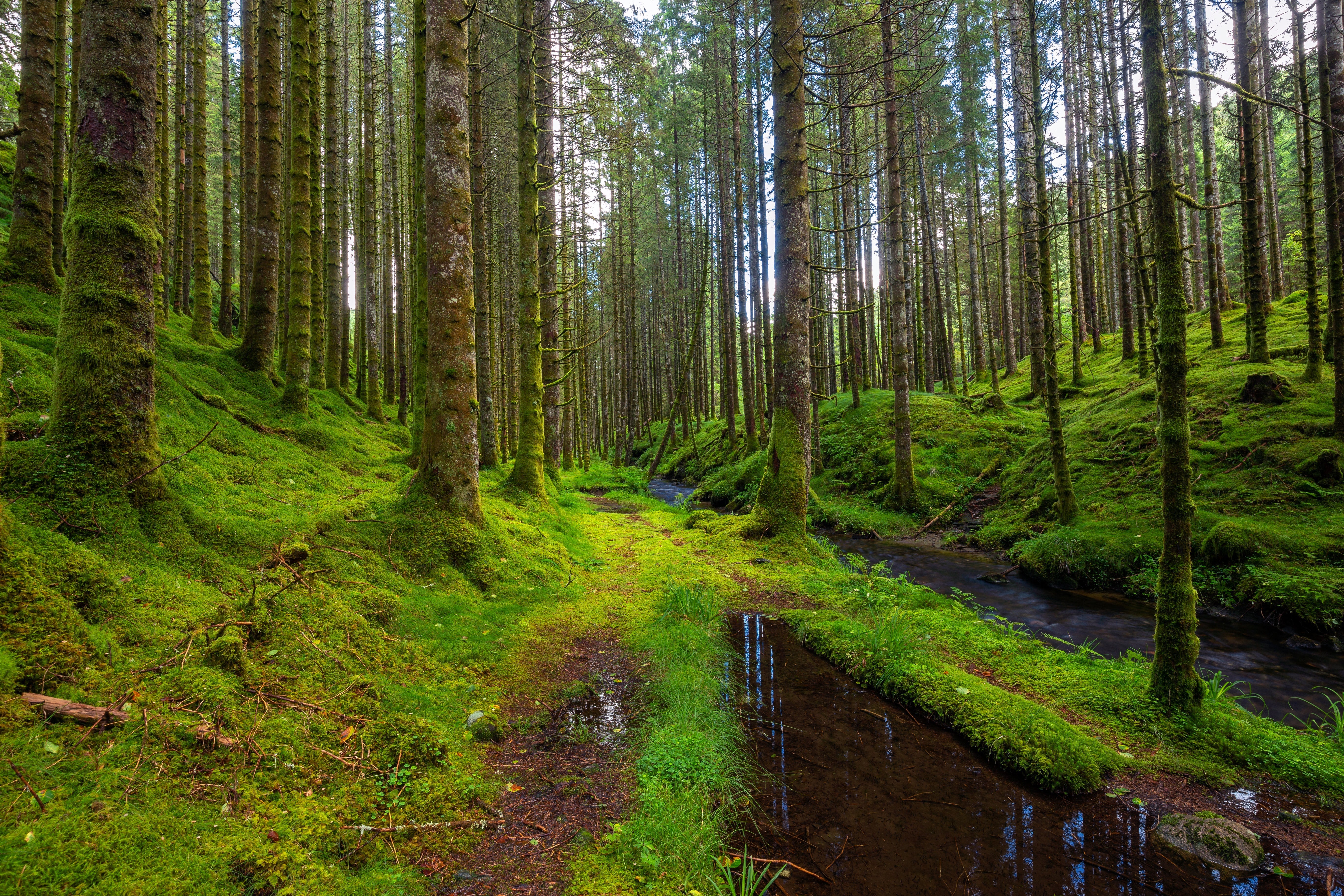 Nature’s Reset: A Simple Outdoor Wellness Routine