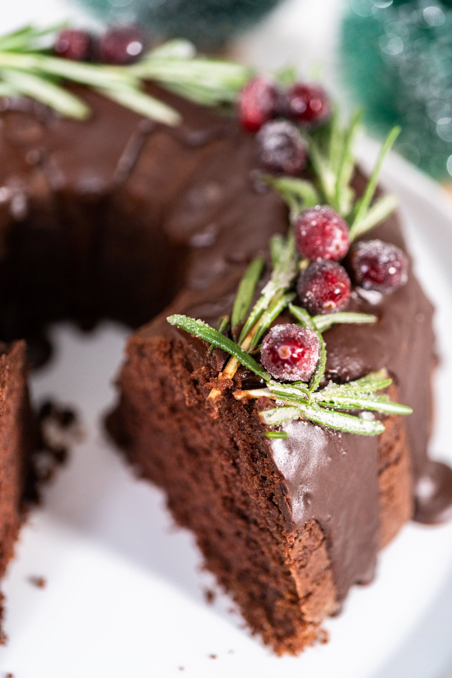 Slice of rich chocolate cranberry cake with glossy icing, topped with sugared cranberries and rosemary, served on a white plate.