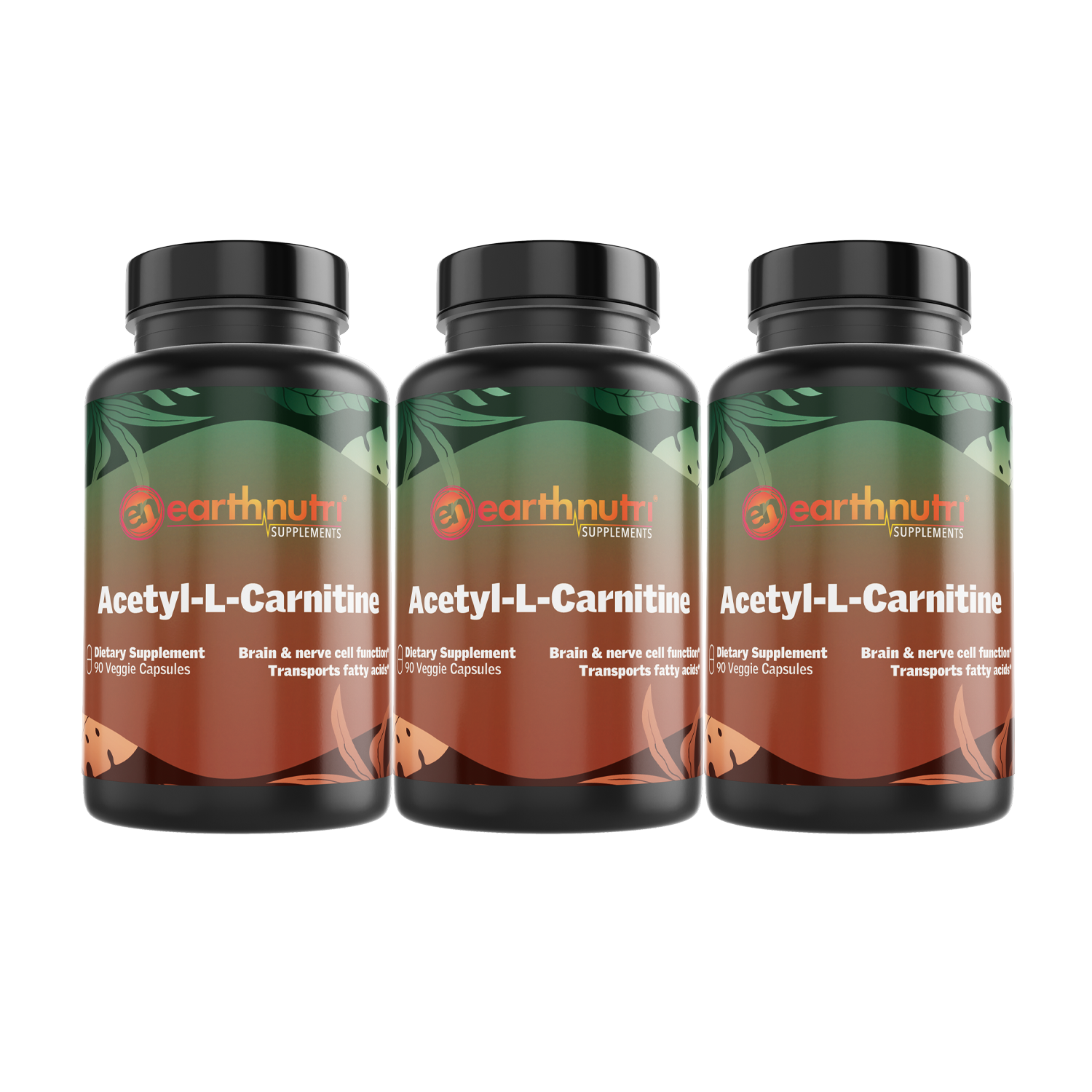 乙酰左旋肉碱丸