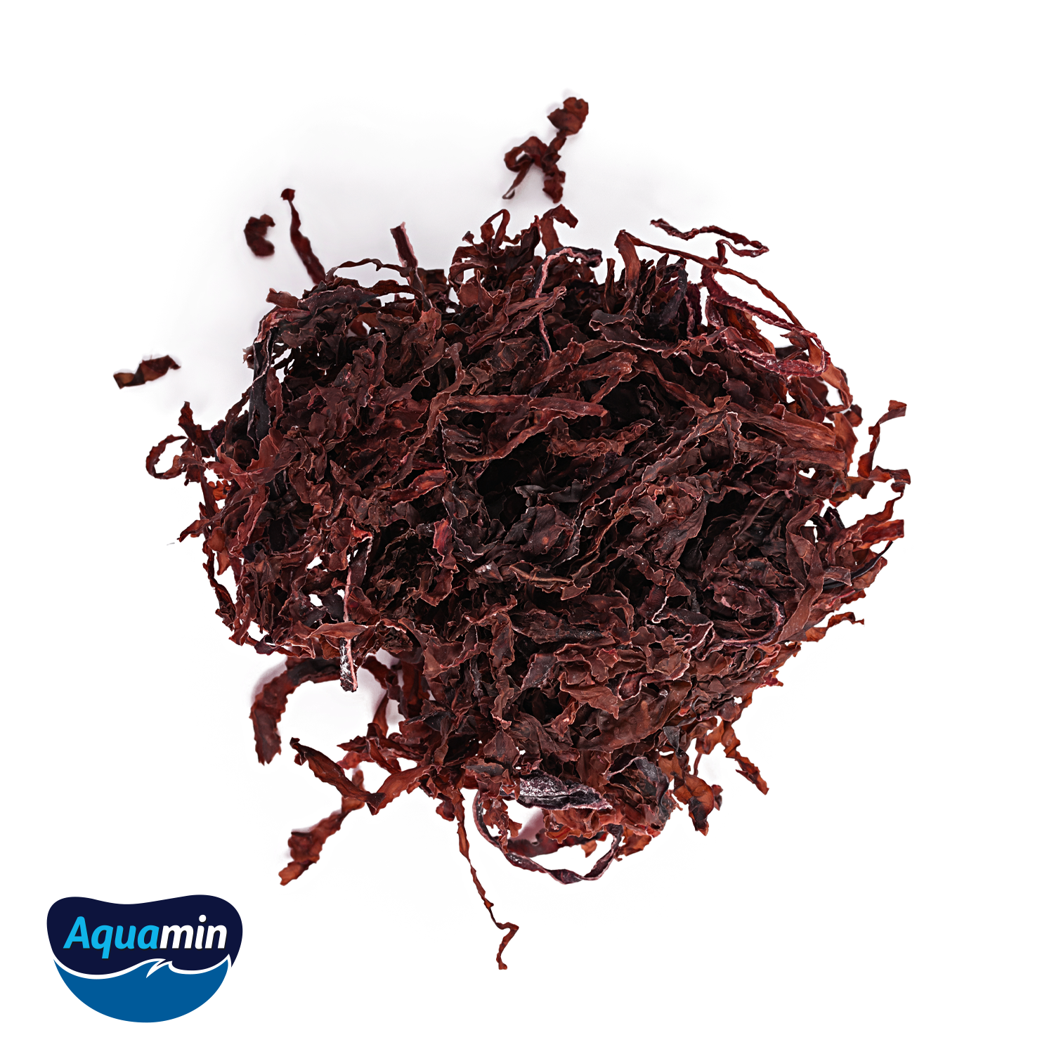 Aquamin, Red Algae, Marine Minerals, Calcium Supplement, Bone and Joint Support, EarthNutri