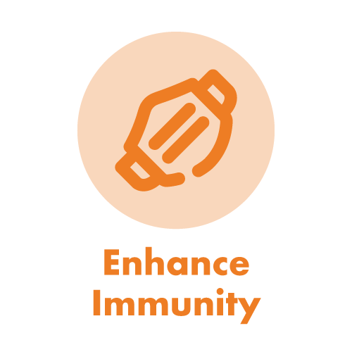 EarthNutri, Natural Supplements, Clean Ingredients, Wellness Support, Science-Backed Nutrition