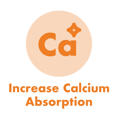 EarthNutri, Natural Wellness, Science-Backed Supplements, Clean Nutrition, Health Support