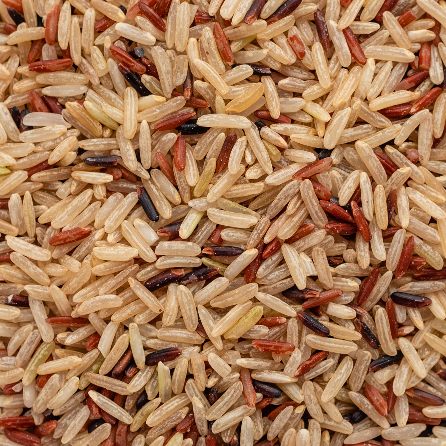 Earth Nutri Brown Rice Protein Source