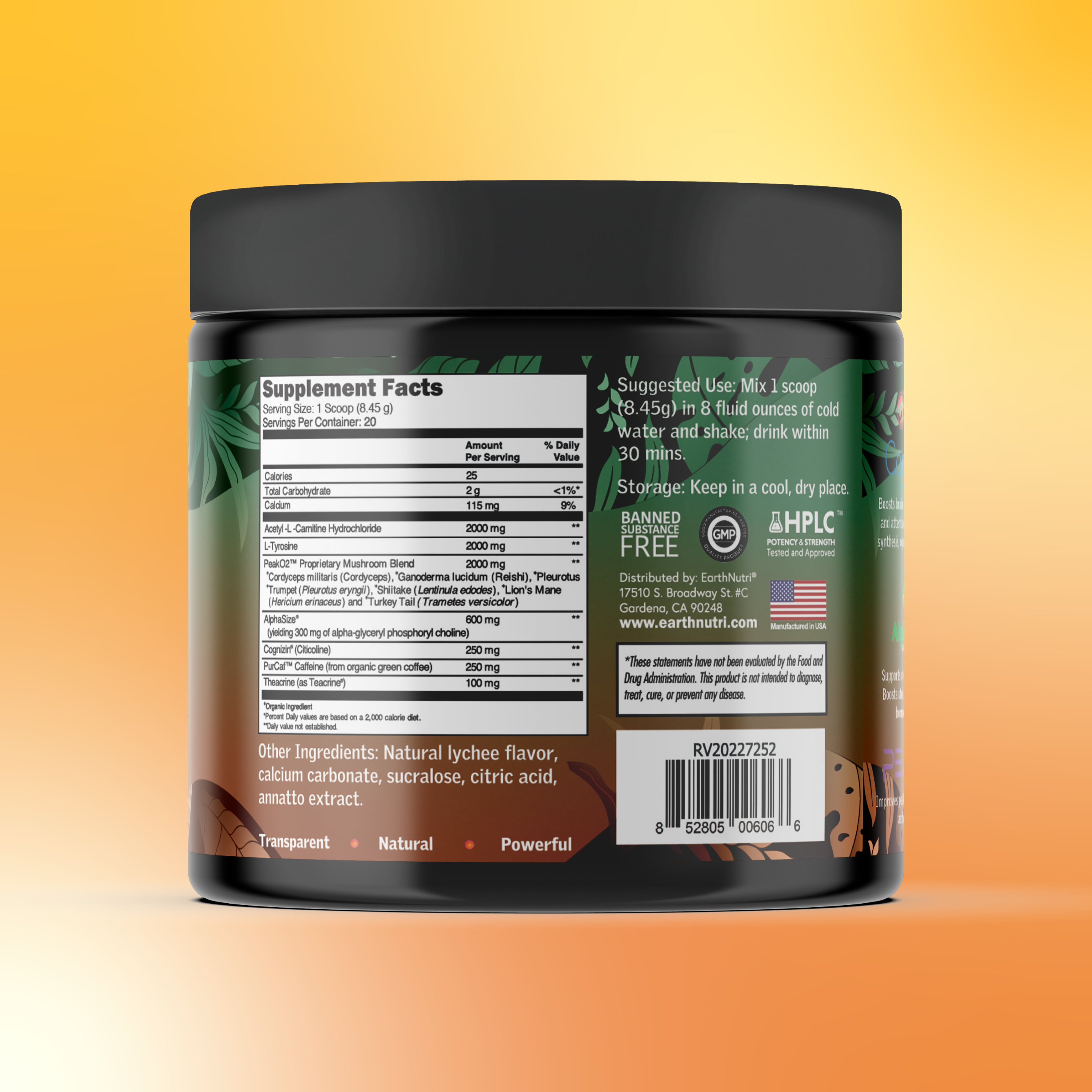 Energy + Focus | Memory Enhancer