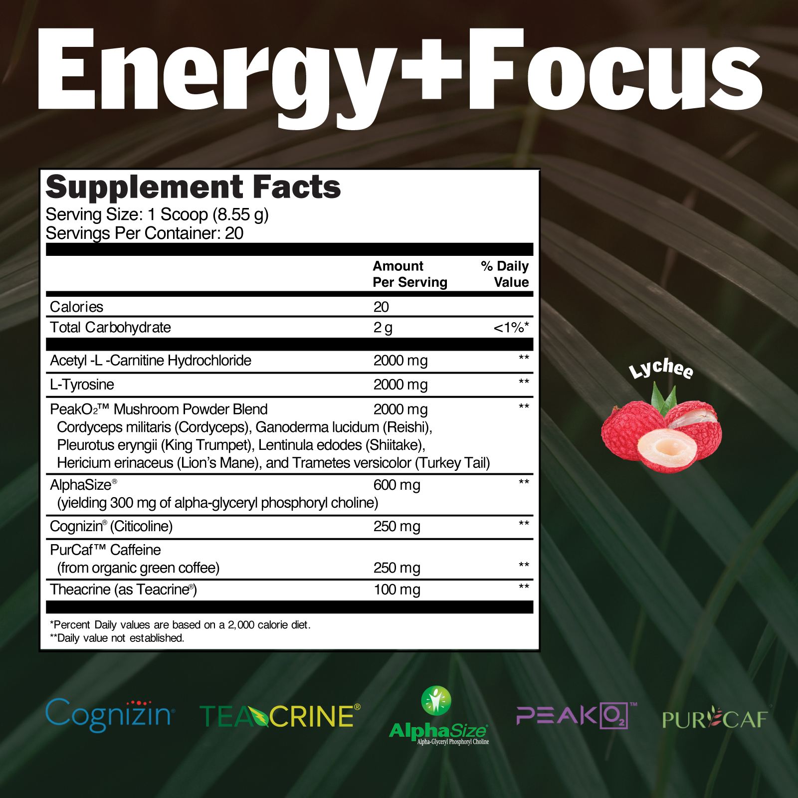 能量+专注|记忆增强剂