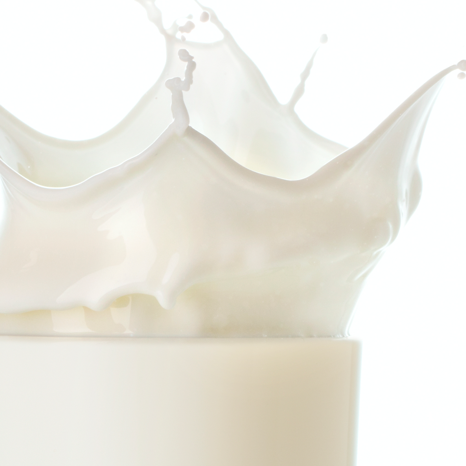 Milk Protein, Natural Protein Source, Muscle Growth, Recovery Nutrition, EarthNutri