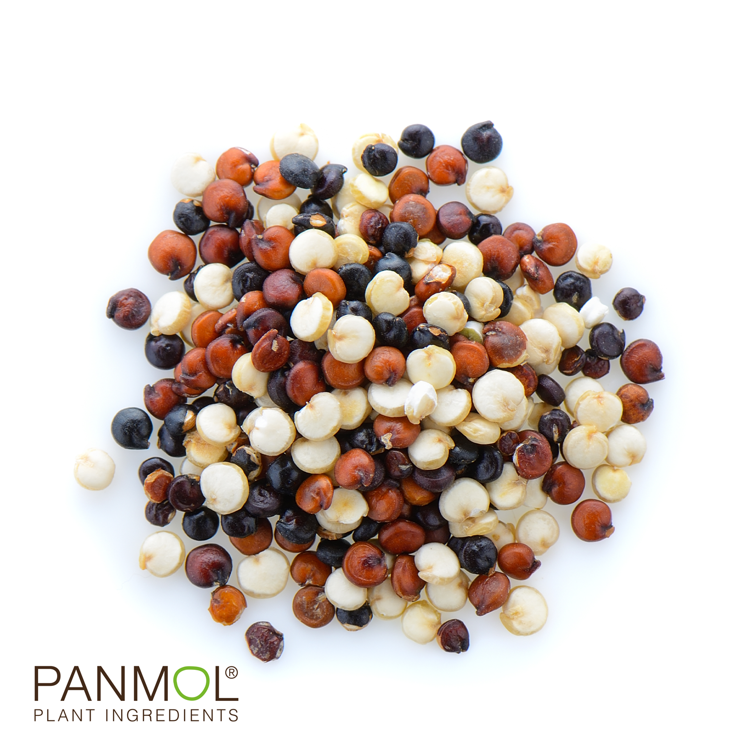 Earth Nutri Panmol Quinoa as Superfood Ingredient