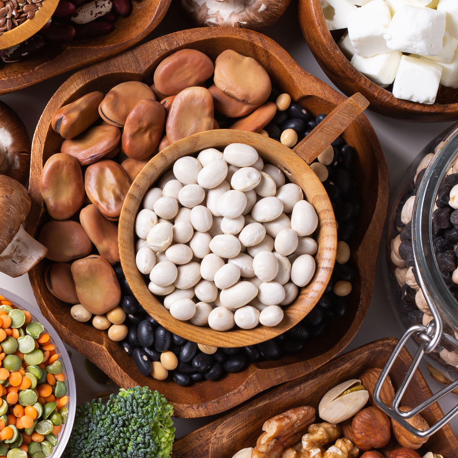 Earth Nutri Complete Plant-Based Proteins Blend