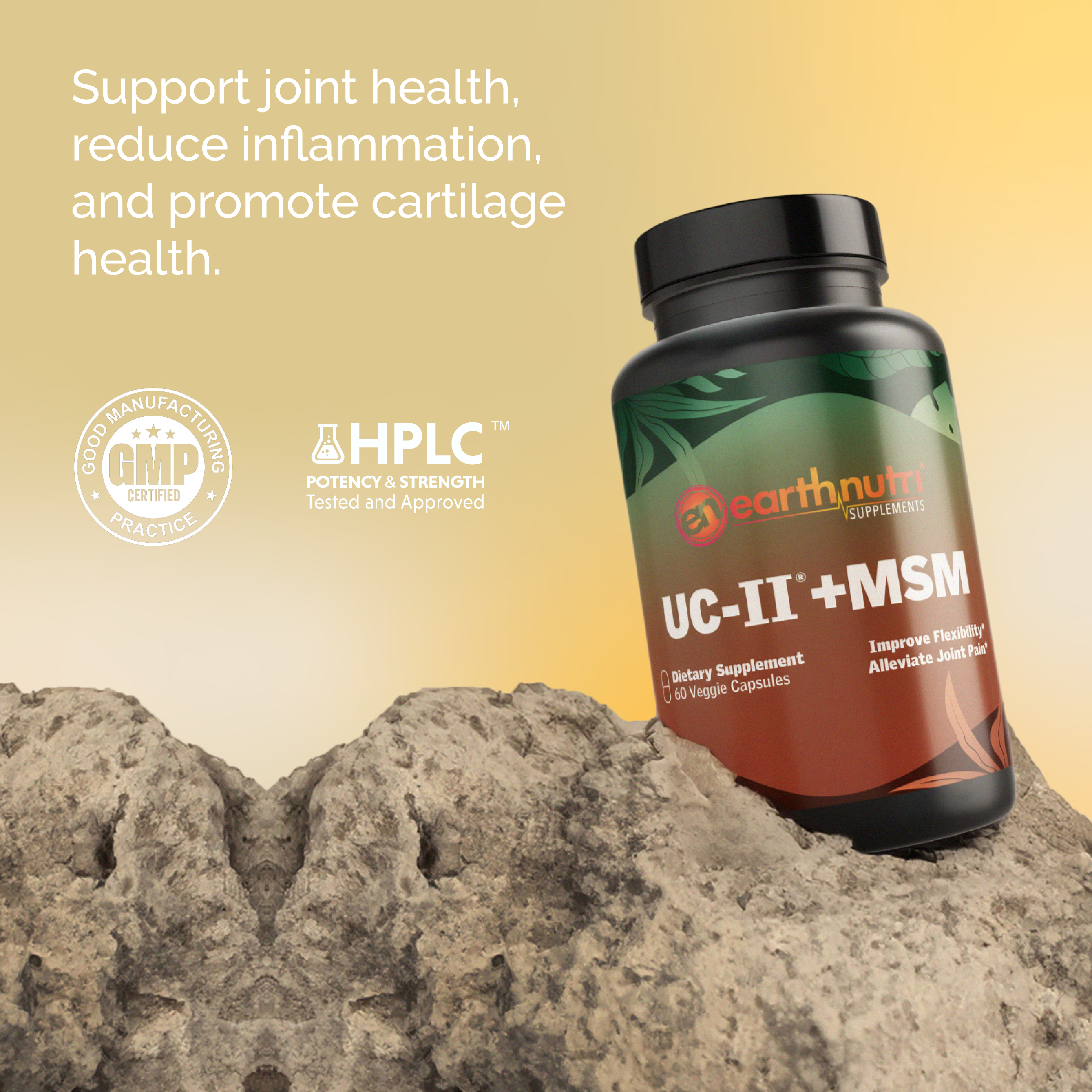 UC-II® + MSM |骨骼健康与灵活性