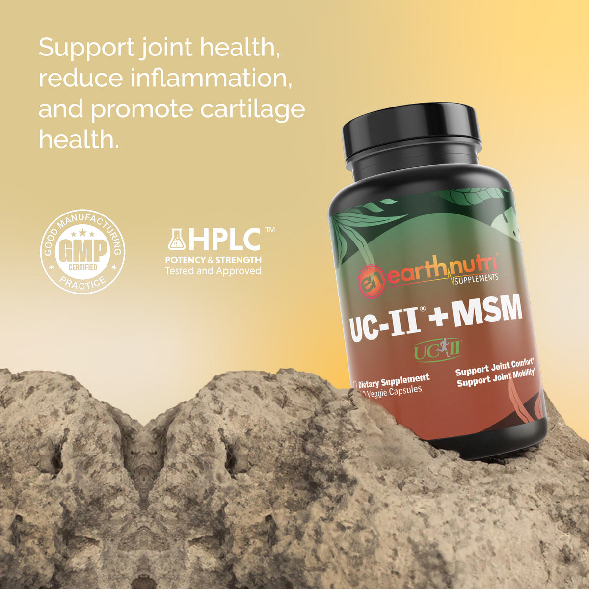 UC-II® + OptiMSM® for Bone Health & Flexibility