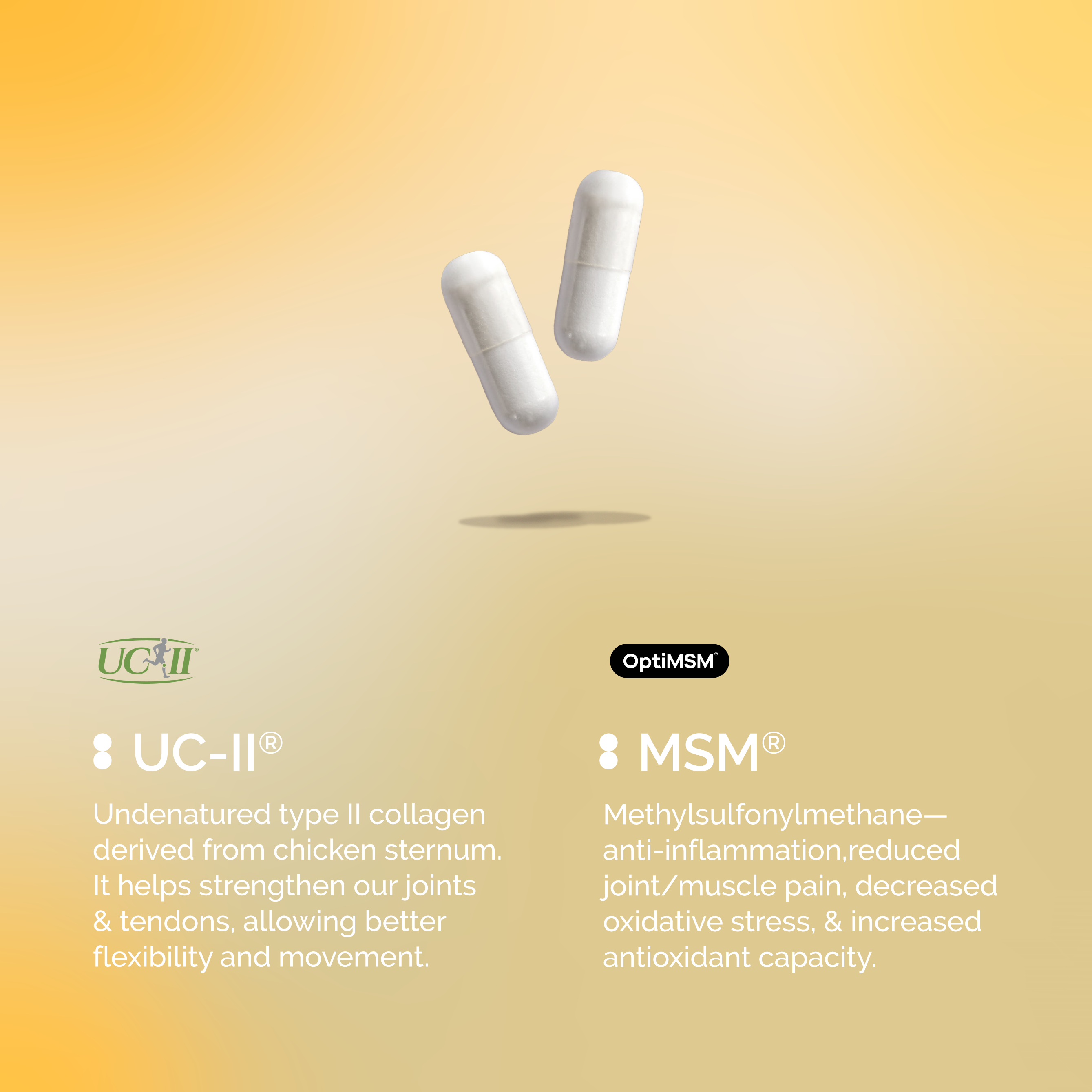 UC-II® + MSM |骨骼健康与灵活性