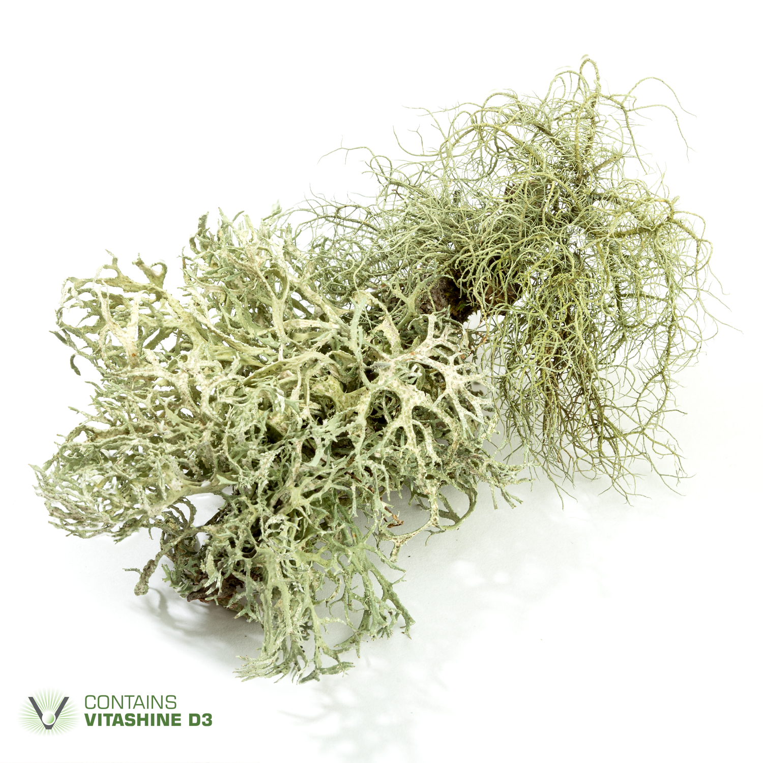 VitaShine, Lichen-Based Vitamin D3, Vegan Supplement, Immune Support, EarthNutri