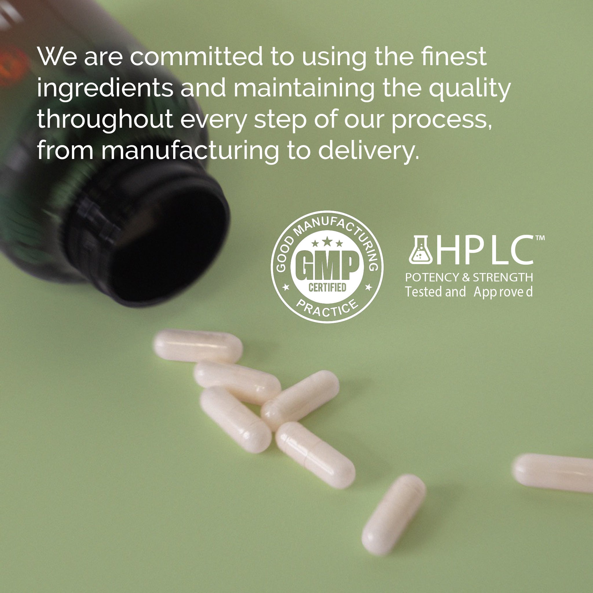 D3+K2 | 72 Trace Minerals | Vegan