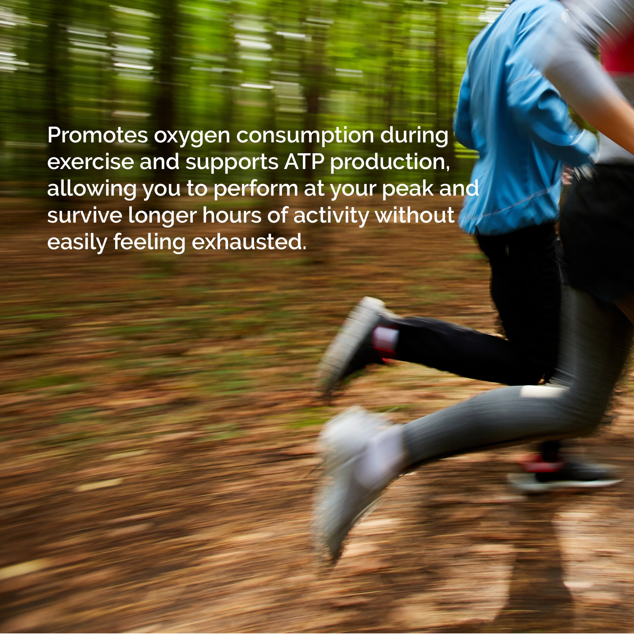 PeakO2® Organic Mushroom Blend