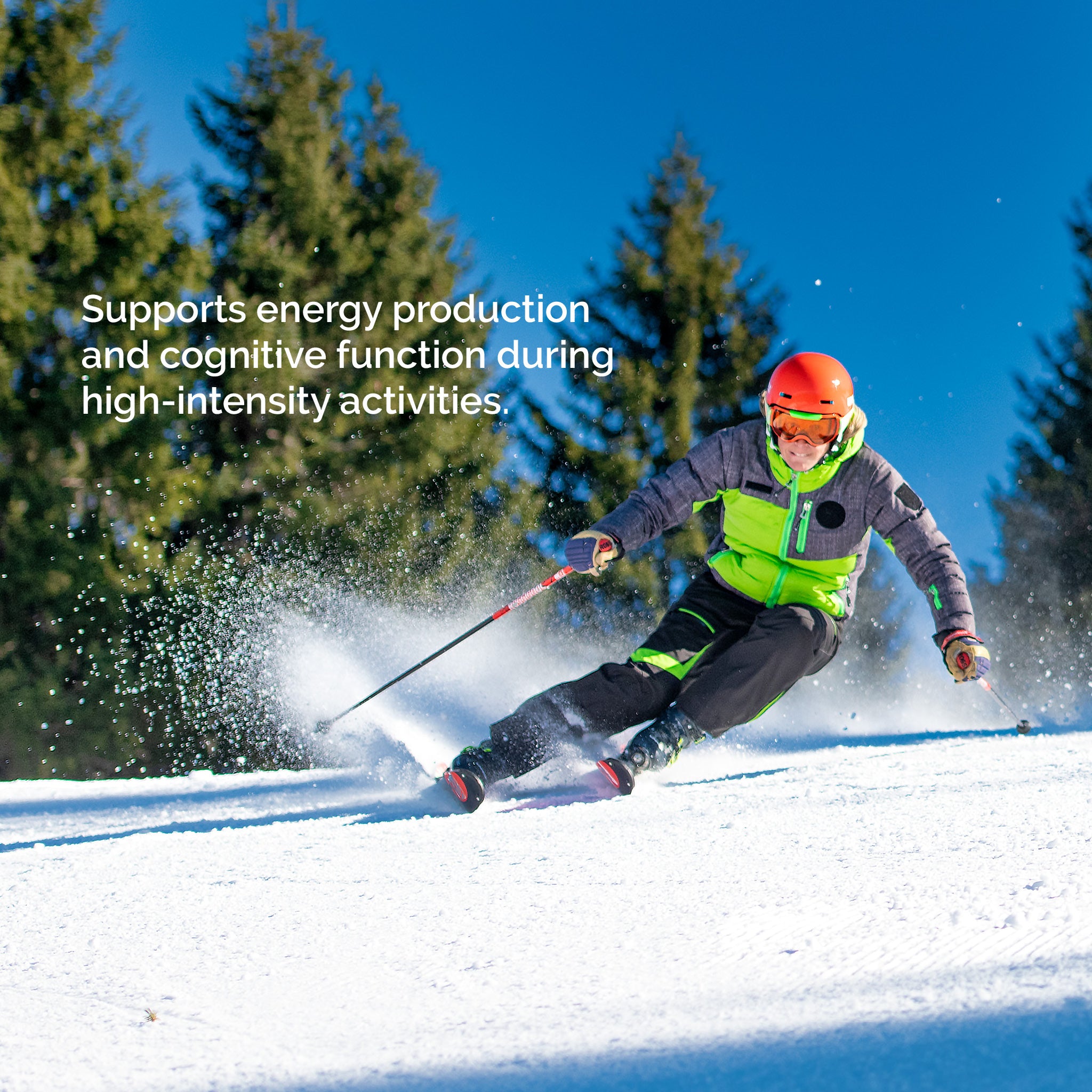 由 Creapure® 制成的纯肌酸