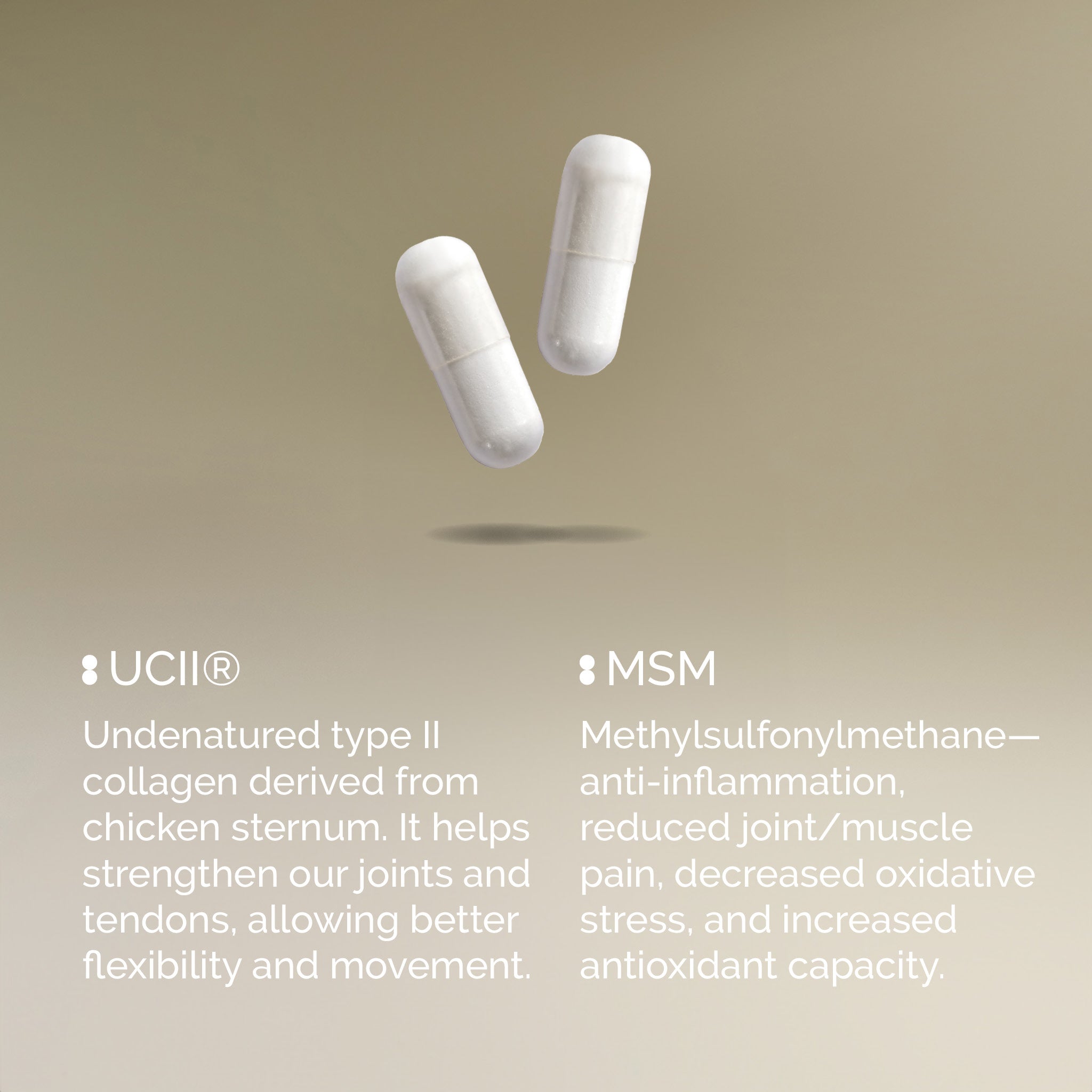 UC-II® + MSM | Bone Health & Flexibility