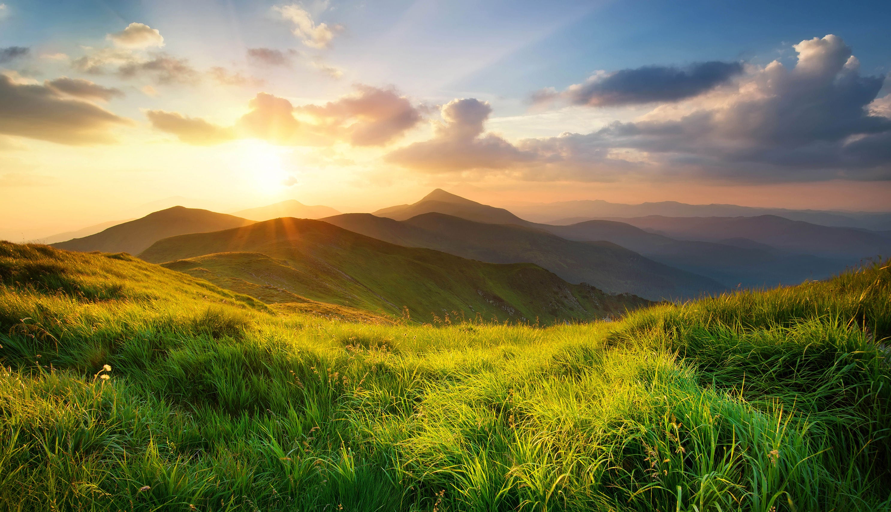 Homepage hero: natural, transparent, and powerful EarthNutri supplements banner