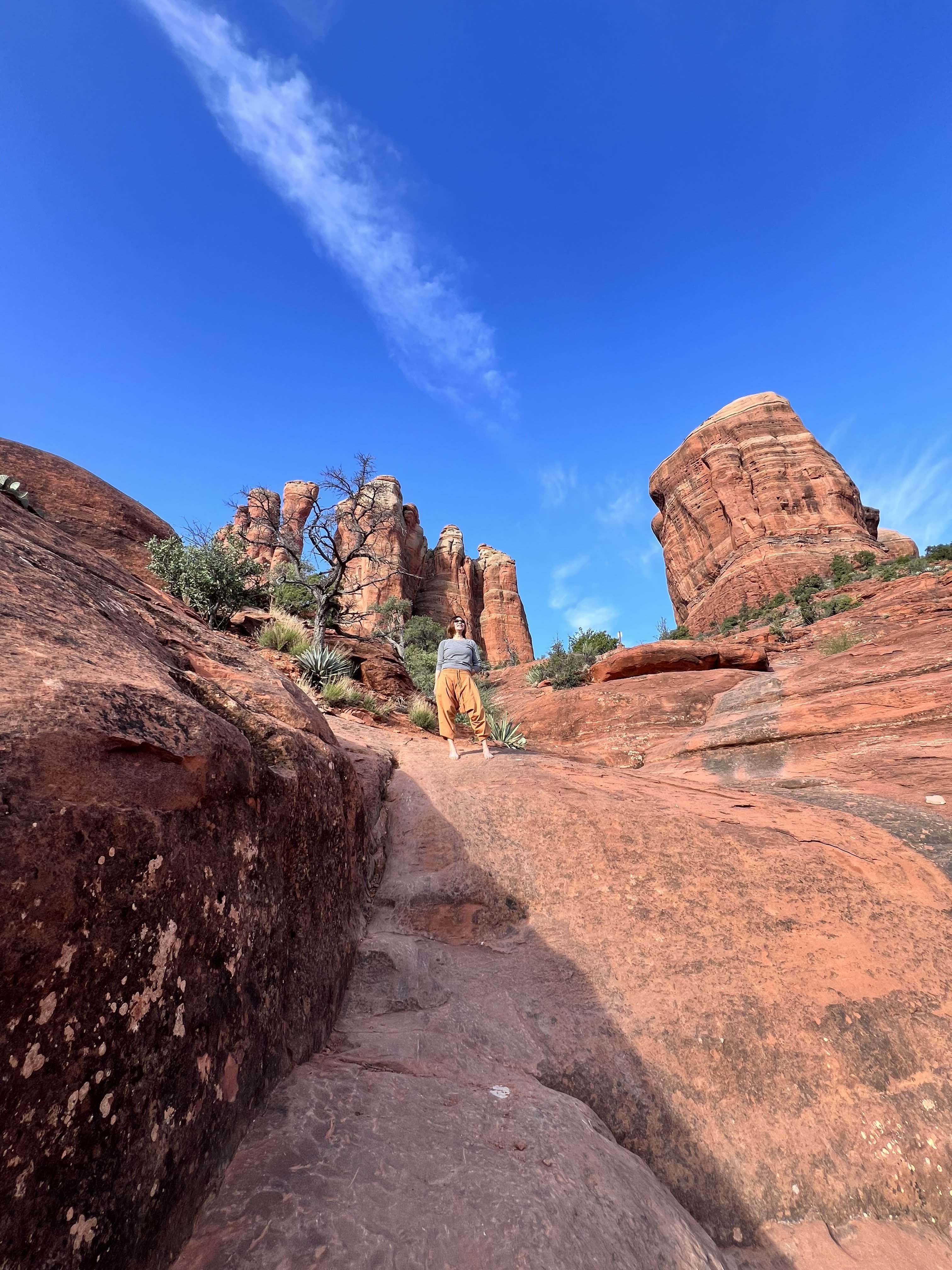 EarthNutri Supplements, Clean Nutrition, Product Display, Wellness Essentials, Natural Health