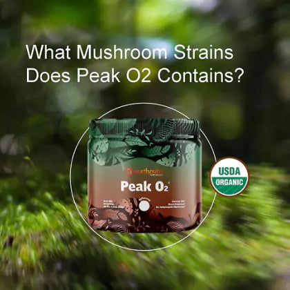 Mushroom Supplement, Adaptogens, Immune Support, Focus, EarthNutri