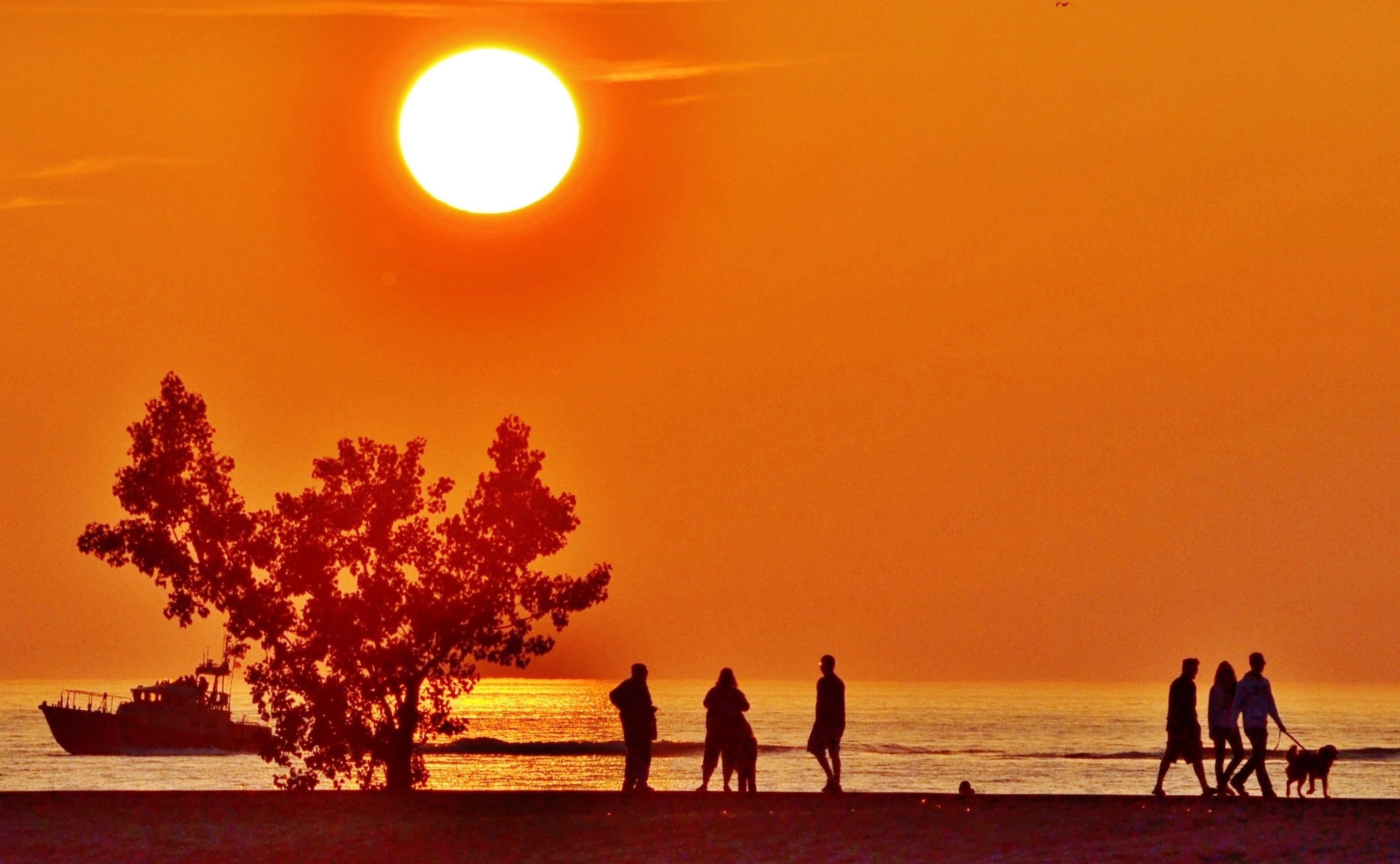 Beach Sunset, Natural Scenery, Wellness Lifestyle, Summer Vibes, EarthNutri