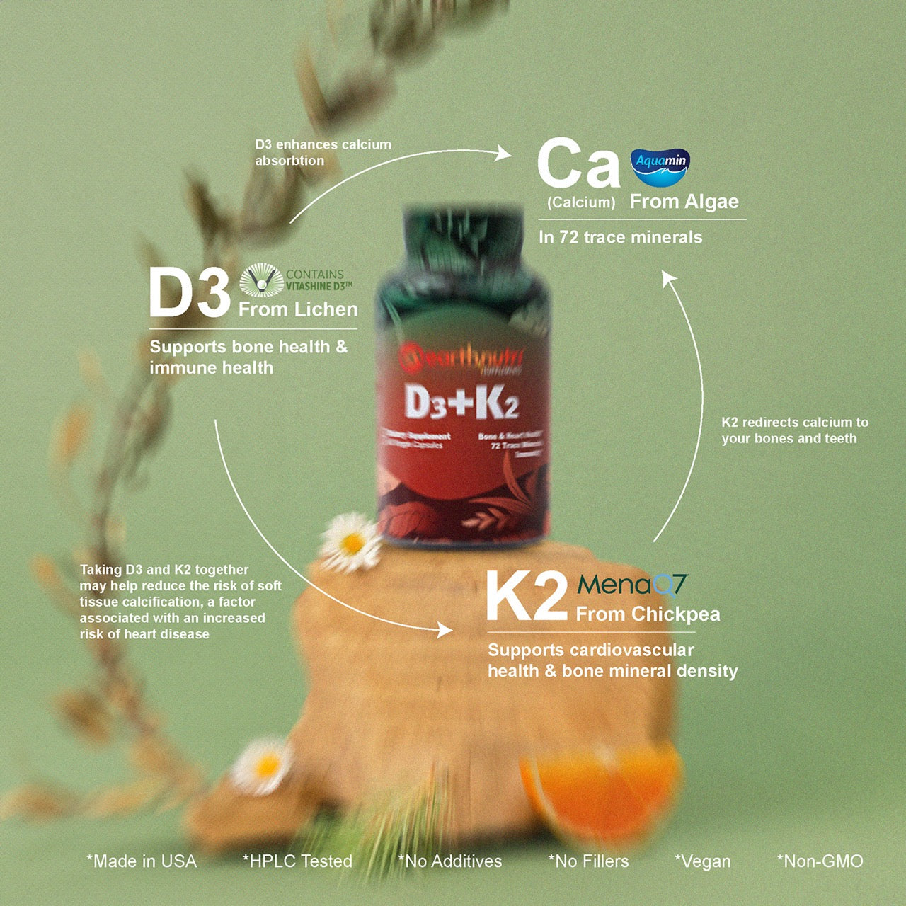 EarthNutri D3 + K2 supplement bottle on a rock pedestal with surrounding text highlighting calcium absorption, bone and immune support, and cardiovascular health, with ingredient sources noted.