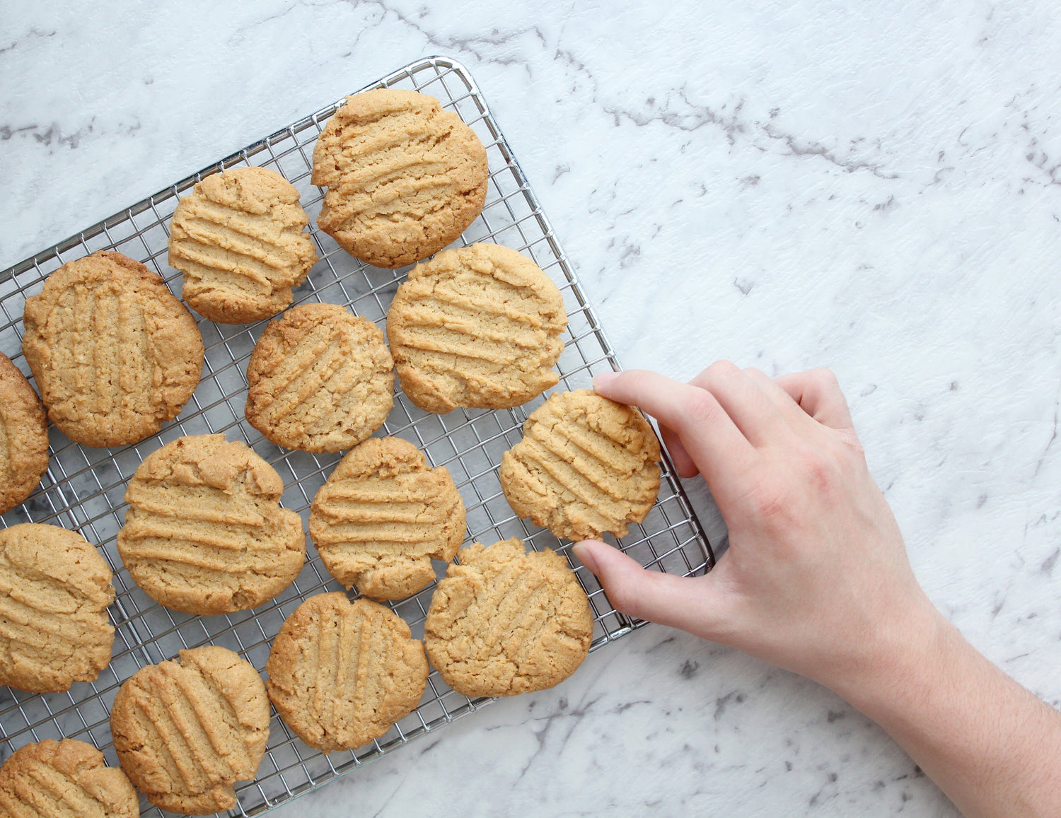 Freshly baked Gluten free peanut butter cookies cooling on a wire rack, with a hand reaching to pick one up on a marble countertop.
