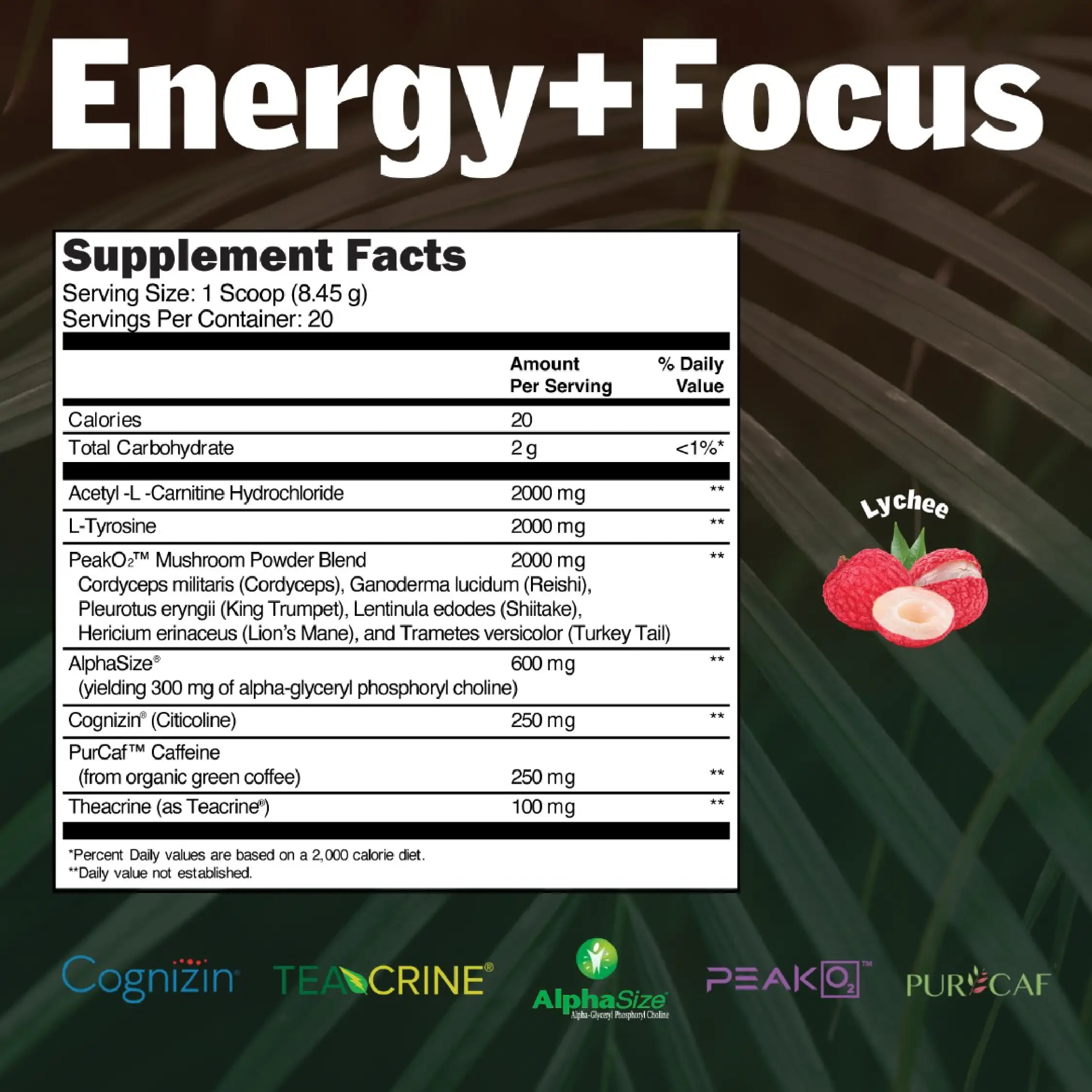 Energy + Focus | Memory Enhancer