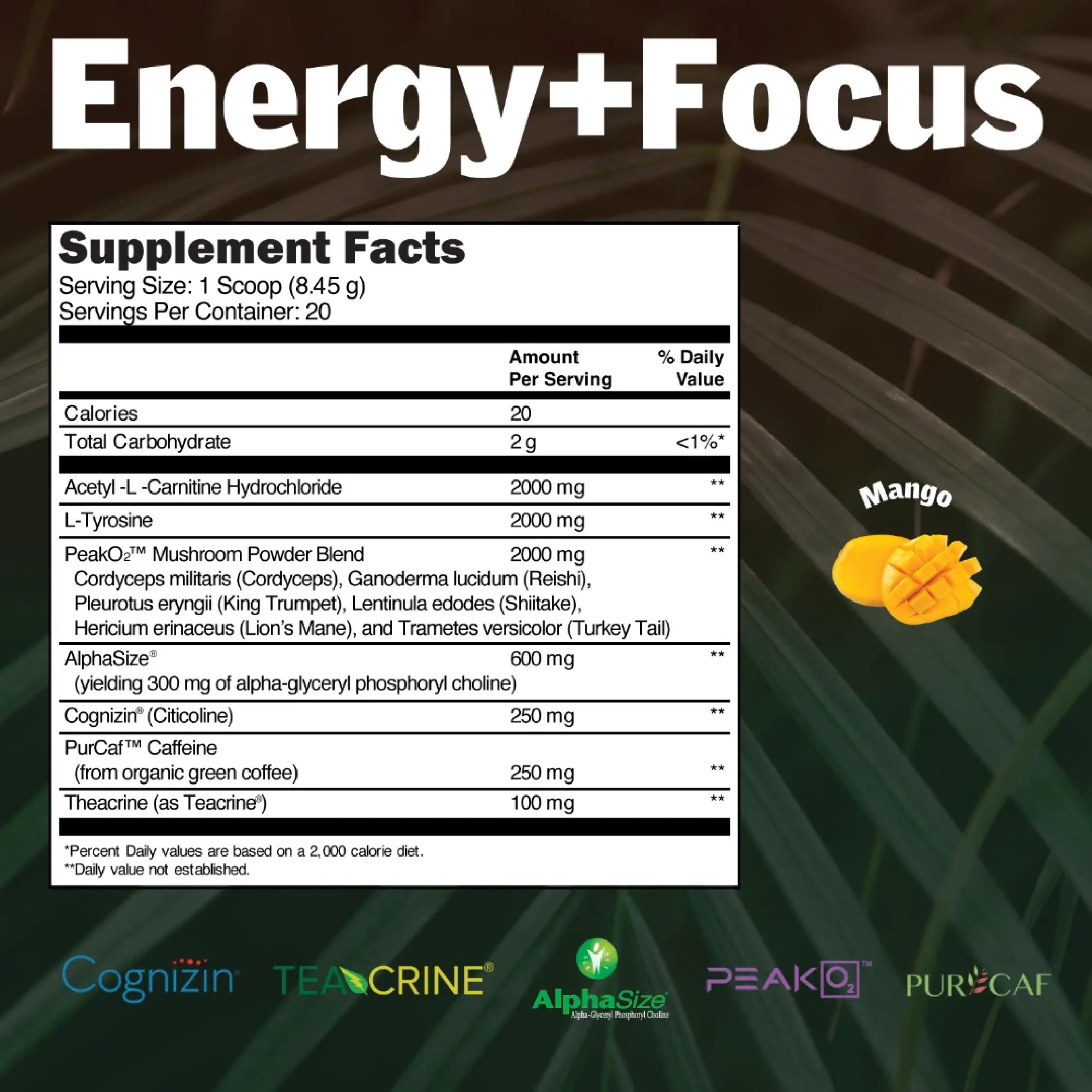 Energy + Focus | Memory Enhancer