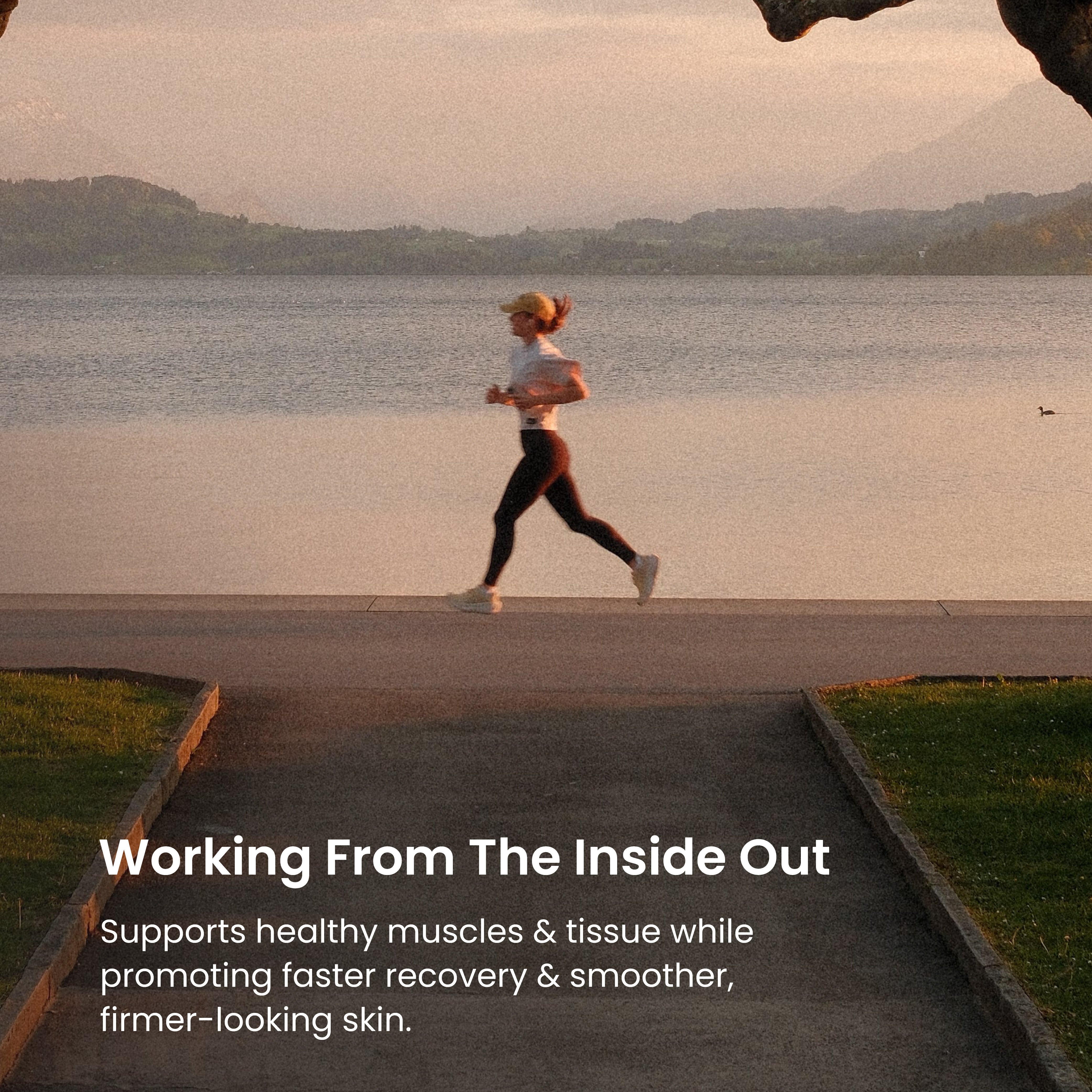 MSM® Joint Health & Collagen Support