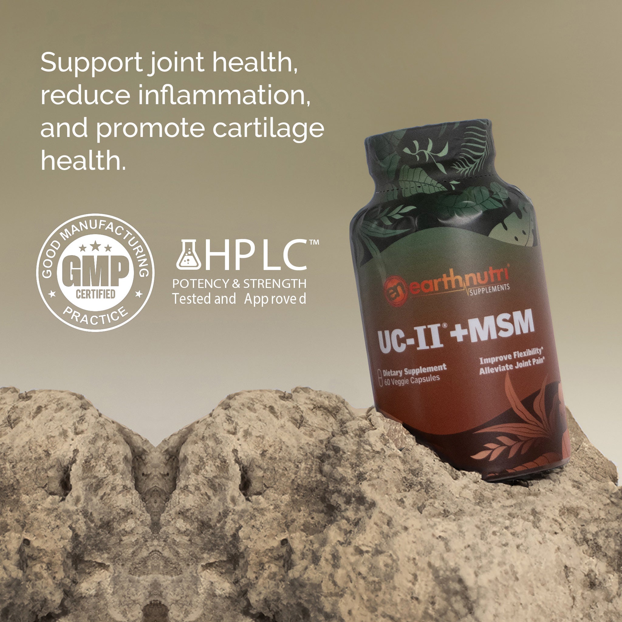 UC-II® + MSM | Bone Health & Flexibility