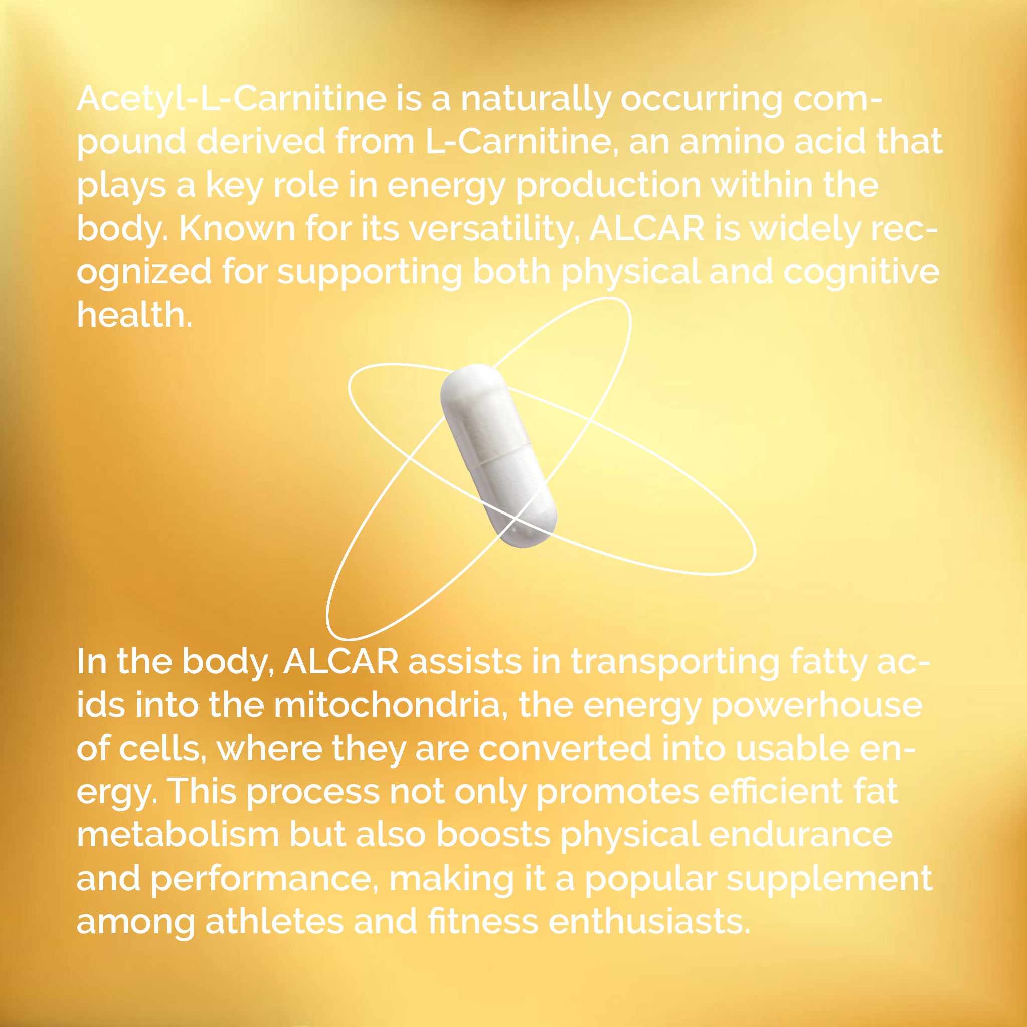 Acetyl-L-Carnitine Pill